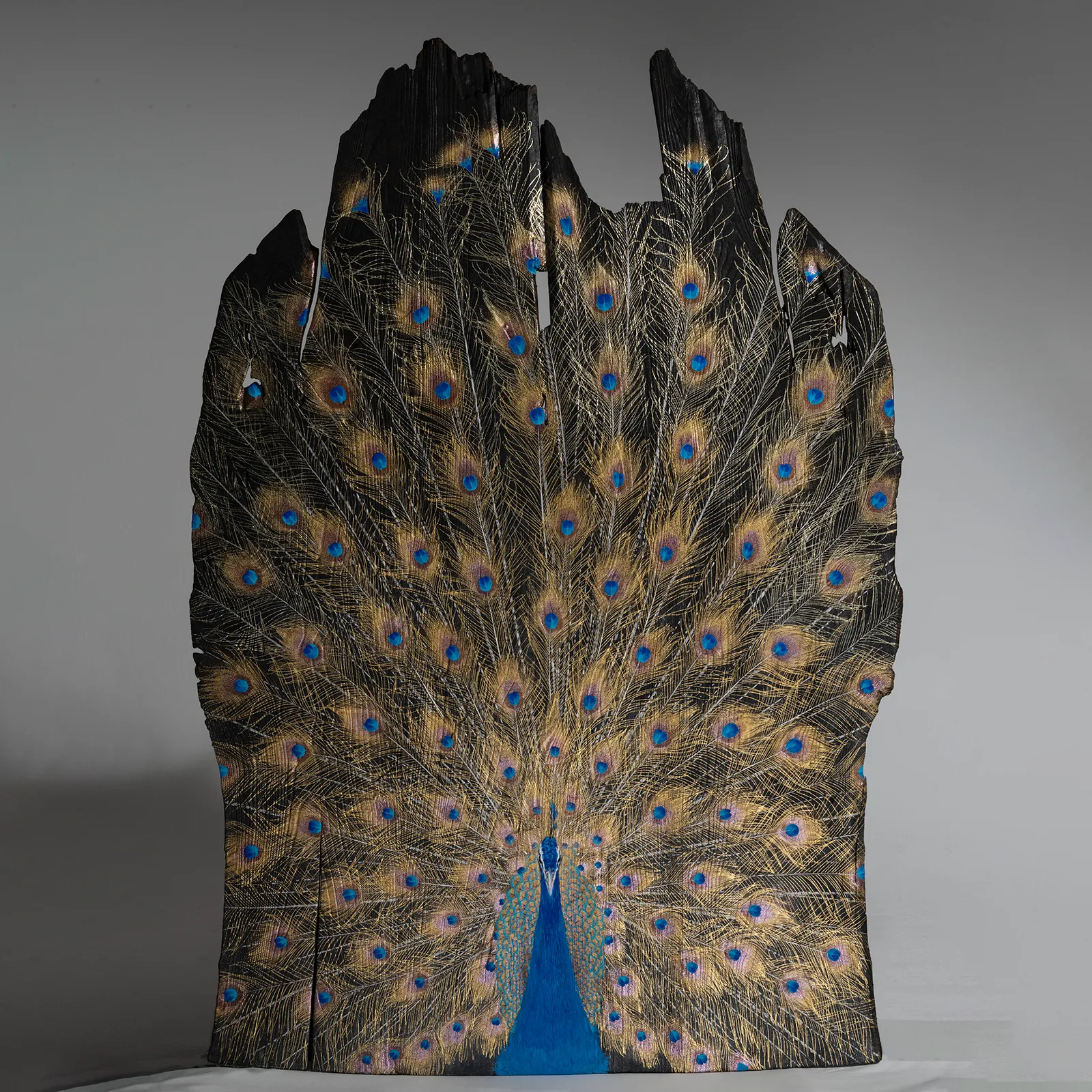 金孔雀100号